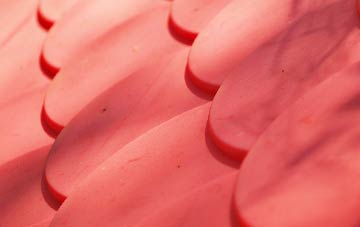 Upper College plastic roof costs